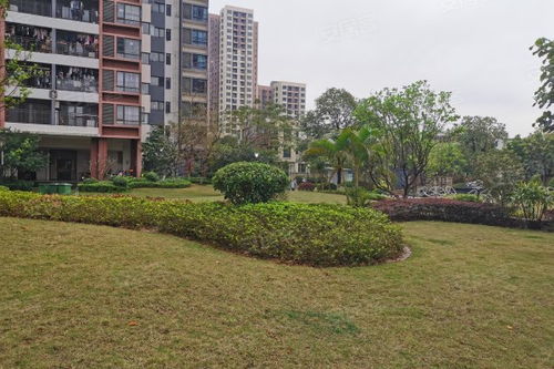 中惠松湖城深度解析 樓盤優勢、不足與周邊中介評價指南